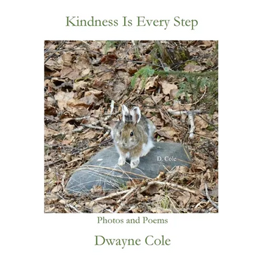 Kindness Is Every Step