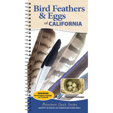 Bird Feathers & Eggs of California: Identify 40 Species of Common Backyard Birds