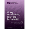 Kidney Inflammation, Injury and Regeneration