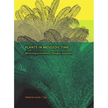 Plants in Mesozoic Time: Morphological Innovations, Phylogeny, Ecosystems