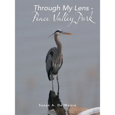 Through My Lens - Peace Valley Park