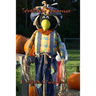 Scintillating Scarecrows