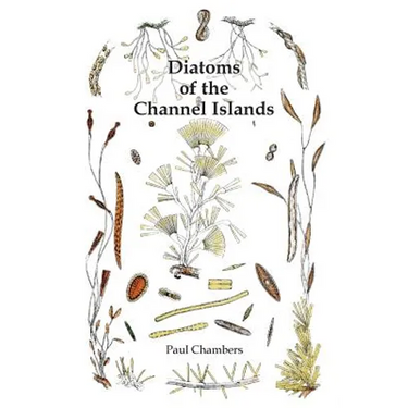 Diatoms of the Channel Islands