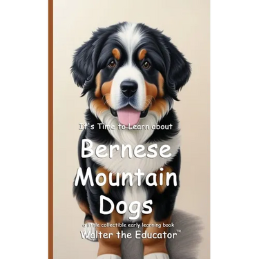 It's Time to Learn about Bernese Mountain Dogs