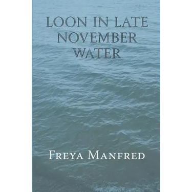 Loon In Late November Water