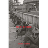 The TET Offensive: Politics, War, and Public Opinion