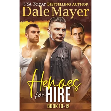 Heroes for Hire Books 10-12