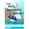 Is the Davit Supposed to Fall Off?: A First Time Sailor in a Wild New Zealand Sea