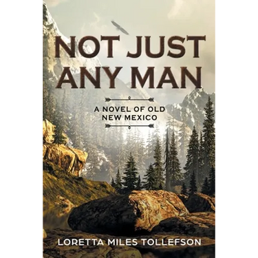 Not Just Any Man: A novel of Old New Mexico