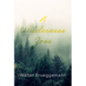 A Wilderness Zone