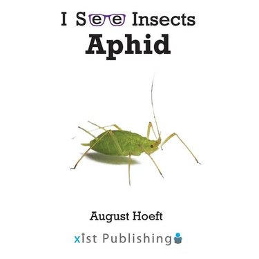 Aphid
