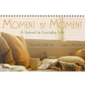 Moment by Moment: A Retreat in Everyday Life