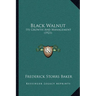 Black Walnut: Its Growth And Management (1921)