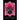 The Rivaled Crown