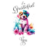 I'm Grateful for You...