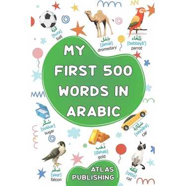 My first bilingual Arabic English picture book: 500 words of the classical Arabic language - A visual dictionary with illustrated words on everyday th