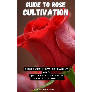 Guide to Rose Cultivation: Discover how to easily and quickly grow beautiful roses