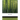 Report