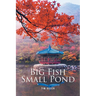 Big Fish Small Pond