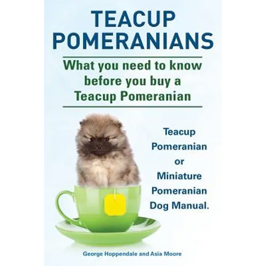 Teacup Pomeranians. Miniature Pomeranian or Teacup Pomeranian Dog Manual. What You Need to Know Before You Buy a Teacup Pomeranian.