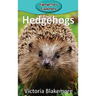 Hedgehogs