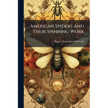 American Spiders And Their Spinning Work
