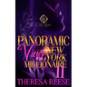 Panoramic Views With A New York Millionaire 2: An African American Romance: The Finale