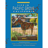 Life In Pacific Grove: Deeper Connections