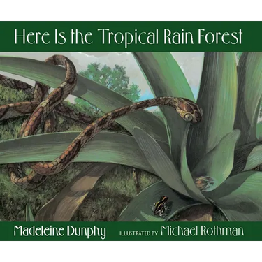 Here Is the Tropical Rain Forest