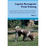 Lagotto Romagnolo Tricks Training Lagotto Romagnolo Tricks & Games Training Tracker & Workbook. Includes: Lagotto Romagnolo Multi-Level Tricks, Games