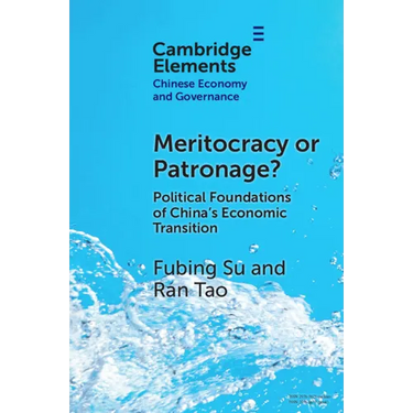 Meritocracy or Patronage?