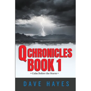 Q Chronicles Book 1