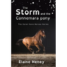The Storm and the Connemara Pony - Dyslexia Friendly