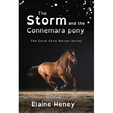 The Storm and the Connemara Pony - Dyslexia Friendly