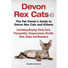 Devon Rex Cats The Pet Owner's Guide to Devon Rex Cats and Kittens Including Buying, Daily Care, Personality, Temperament, Health, Diet, Clubs and Bre