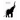 The Elephant In The Room - A Poet's Journal VII