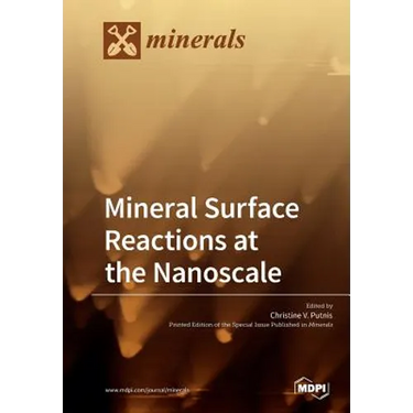 Mineral Surface Reactions at the Nanoscale