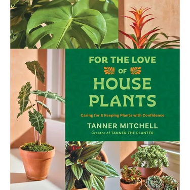 For the Love of Houseplants: Caring for & Keeping Plants with Confidence