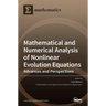 Mathematical and Numerical Analysis of Nonlinear Evolution Equations: Advances and Perspectives