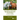 Building a Five-Star Relationship with Your Horse: Using the Five Domains of Animal Welfare