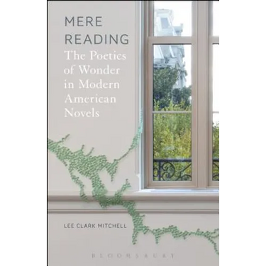 Mere Reading: The Poetics of Wonder in Modern American Novels