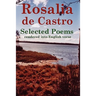 Rosalia de Castro Selected Poems rendered into English verse