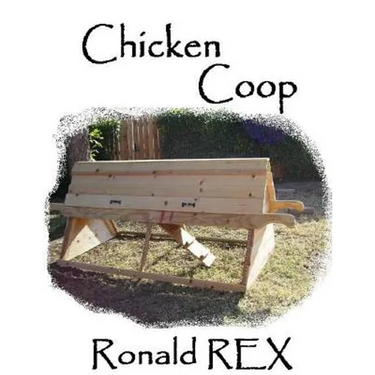 Chicken COOP