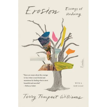 Erosion: Essays of Undoing