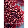 Chrysanthemums: Beautiful Varieties for Home and Garden
