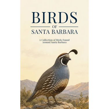 Birds of Santa Barbara: A Collection of Birds Found Around Santa Barbara