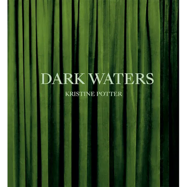 Kristine Potter: Dark Waters