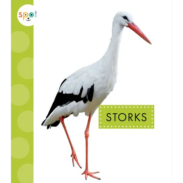 Storks