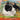 Hiking the Grand Mesa: A Clementine the Rescue Dog Story
