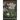 Special Reconnaissance and Advanced Small Unit Patrolling: Tactics, Techniques and Procedures for Special Operations Forces